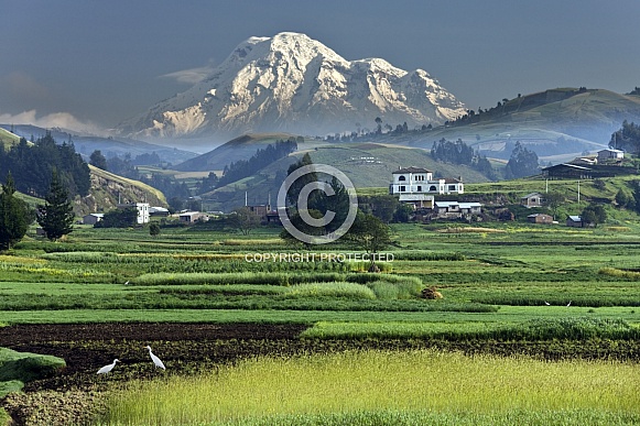 Chimborazo Mountain - Ecuador
