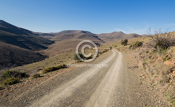 Road To Adventure Road To Adventure