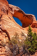 Rattlesnake Canyon Arch