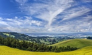 Spring time in the Yorkshire Wolds - England
