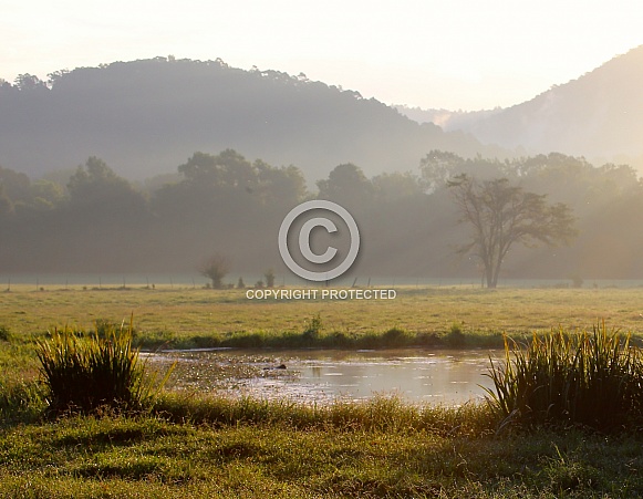 Early Morning Sunrise at the Ranch Early Morning Sunrise at the Ranch