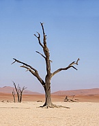 Namibian Desert Landscape