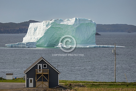 Icebergs at Newfoundland