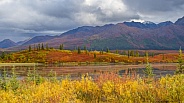 Autumn Landscape in Alaska Wilderness