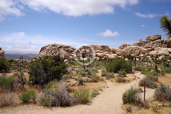 Joshua Tree National Park Joshua Tree National Park