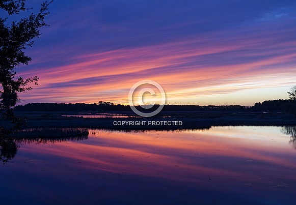 Sunrise at Bear Island South Carolina USA