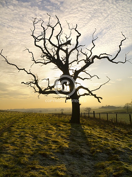 Winter - North Yorkshire - England Winter - North Yorkshire - England