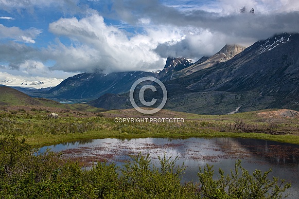 Torres del Paine - Patagonia - Chile