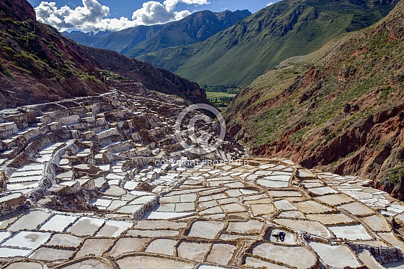 Maras Salt Pans - Peru