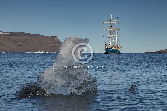 Tal Ship Antigua Tal Ship Antigua