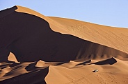 Giant sand dunes - Namib Desert - Namibia
