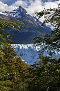 Perito Moreno Glacier - Argentina