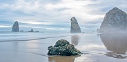 Pacific Northwest Seascape