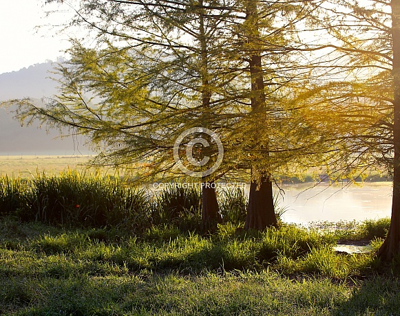 Early Morning Sunrise at the Ranch Early Morning Sunrise at the Ranch