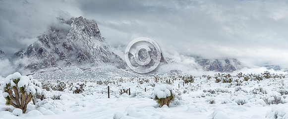 Snow Covered Desert Landscape Snow Covered Desert Landscape