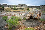 Theodore Roosevelt National Park