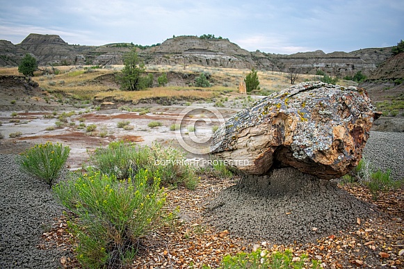 Theodore Roosevelt National Park Theodore Roosevelt National Park
