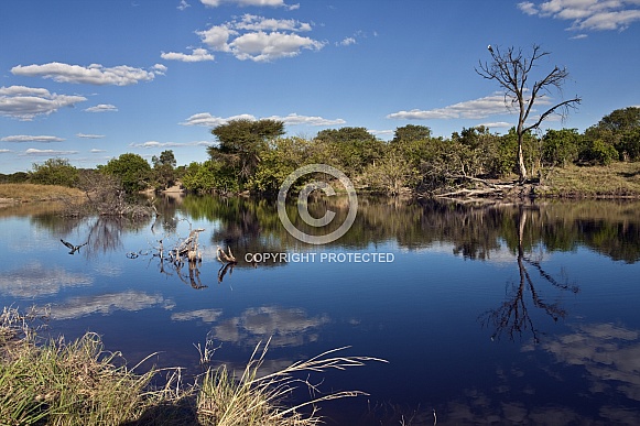 Savuti Channel - Botswana