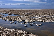 Brine pools - Atacama Desert