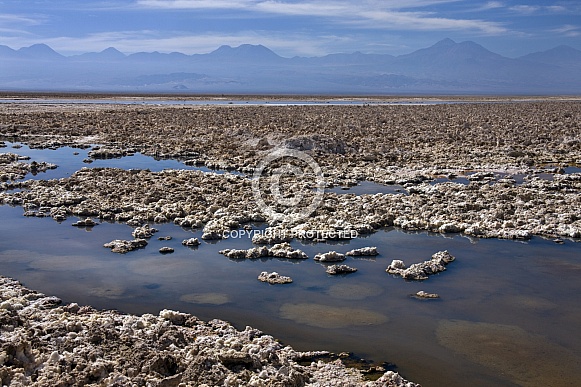 Brine pools - Atacama Desert Brine pools - Atacama Desert