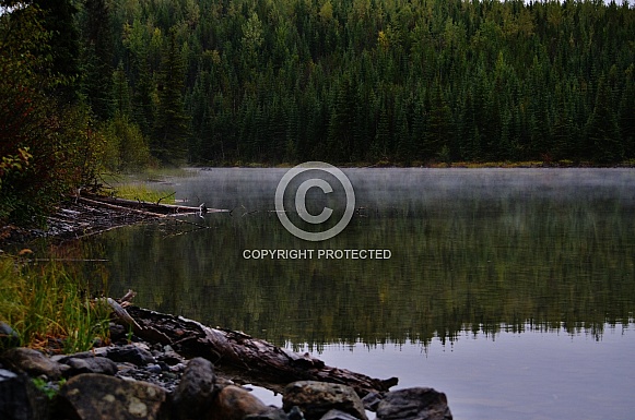 Morning Mist Morning Mist