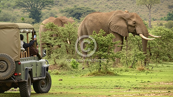 Kenya Tanzania Safari