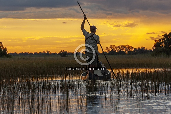 Okavango Delta - Botswana Okavango Delta - Botswana