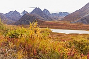 Autumn Colors in the Wilderness of Denali Highway, Alaska