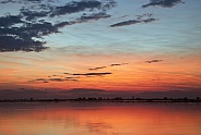Sunset - Chobe National Park - Botswana