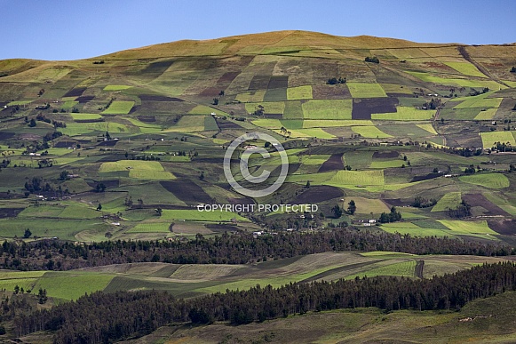Countryside and farmland - Ecuador