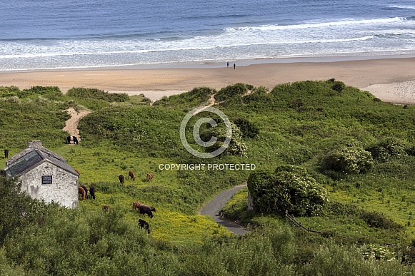White Park Bay - Northern Ireland White Park Bay - Northern Ireland