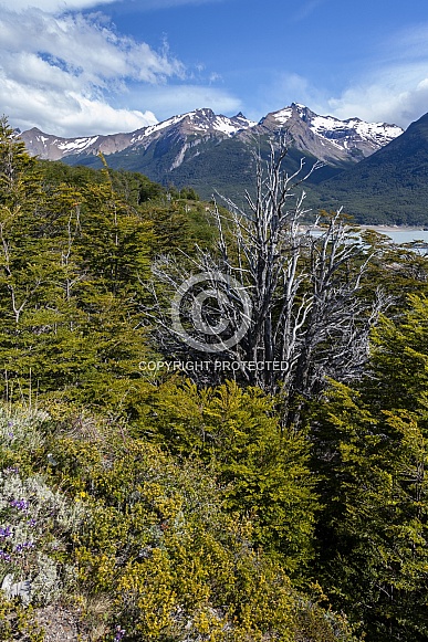 Los Glaciares National Park - Argentina Los Glaciares National Park - Argentina