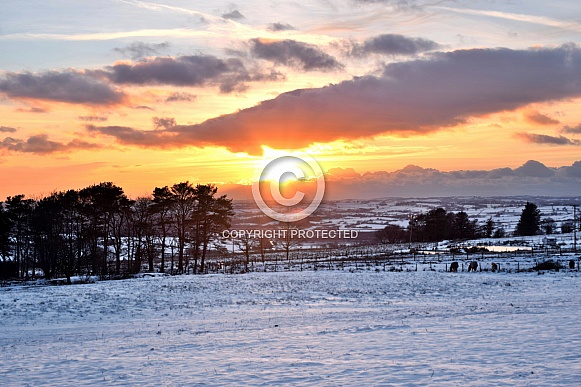 Snowy Sunset Snowy Sunset
