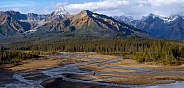 Denali National Park - Alaska