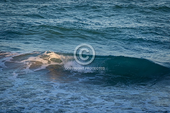 Beaches in South Florida