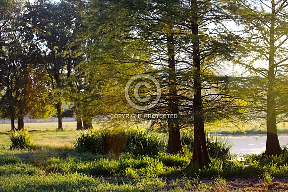 Early Morning Sunrise at the Ranch Early Morning Sunrise at the Ranch