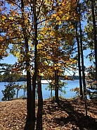Autumn leaves of color near the lake