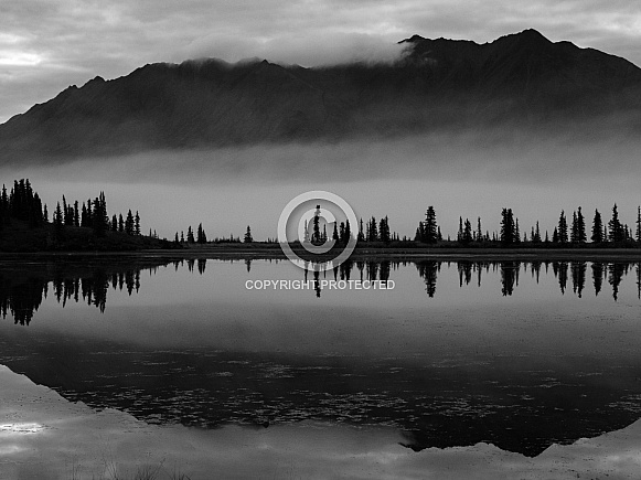 Monotone Landscape in Alaska Wilderness Monotone Landscape in Alaska Wilderness