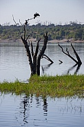 Chobe River - Chobe National Park - Botswana