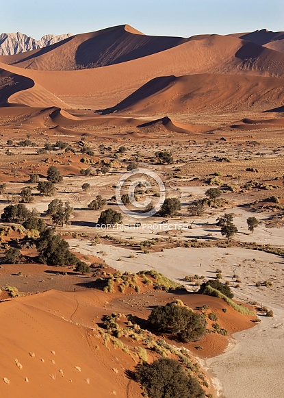 Sand dunes - Namib Desert - Namibia