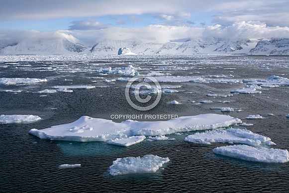 Sea Ice - Greenland