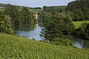 Hautvillers near Epernay - France