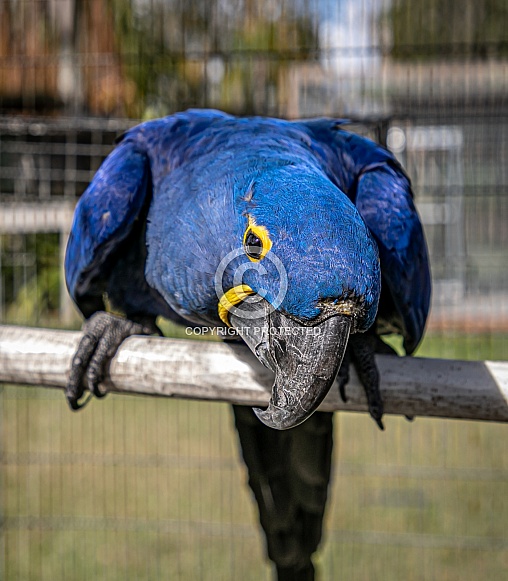 Could you add keywords? It will then go back to pending approval.  Keywords are essential for helpin