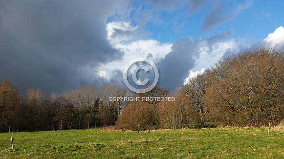 Skyscape/Clouds. This photo is free to download. As artists, we sometimes find ourselves needing reference material for skies or cloud formations, so hopefully these may be of use.
