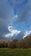 Skyscape/Clouds. This photo is free to download. As artists, we sometimes find ourselves needing reference material for skies or cloud formations, so hopefully these may be of use.