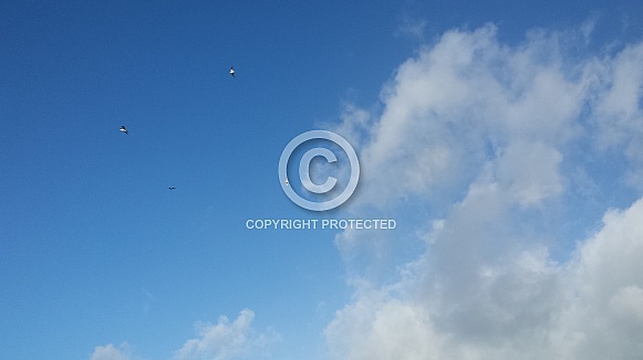 Skyscape/Clouds. This photo is free to download. As artists, we sometimes find ourselves needing reference material for skies or cloud formations, so hopefully these may be of use.