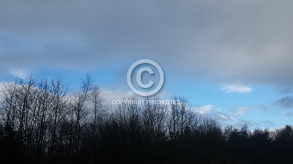 Skyscape/Clouds. This photo is free to download. As artists, we sometimes find ourselves needing reference material for skies or cloud formations, so hopefully these may be of use.