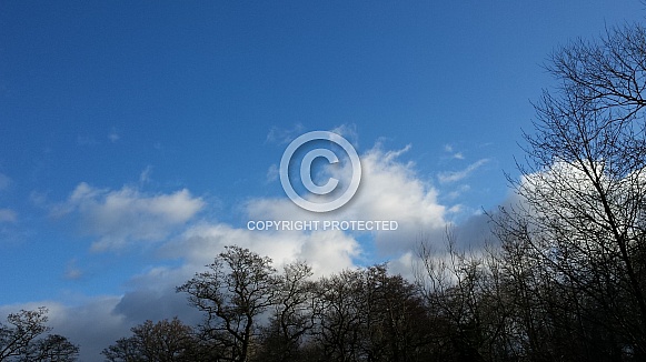 Skyscape/Clouds. This photo is free to download. As artists, we sometimes find ourselves needing reference material for skies or cloud formations, so hopefully these may be of use.