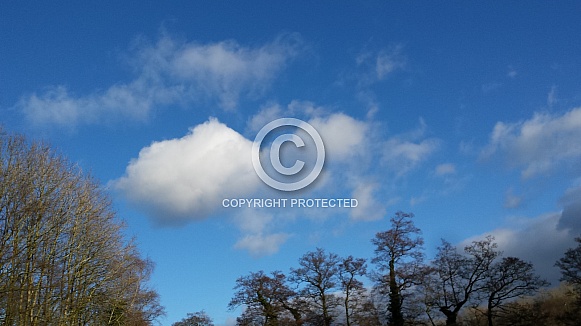 Skyscape/Clouds. This photo is free to download. As artists, we sometimes find ourselves needing reference material for skies or cloud formations, so hopefully these may be of use.