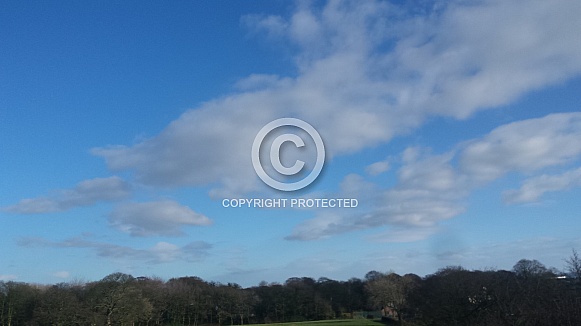 Skyscape/Clouds. This photo is free to download. As artists, we sometimes find ourselves needing reference material for skies or cloud formations, so hopefully these may be of use.